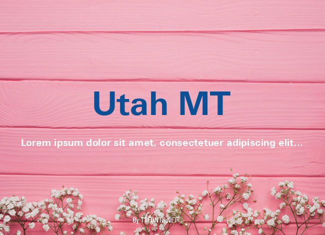Utah MT example
